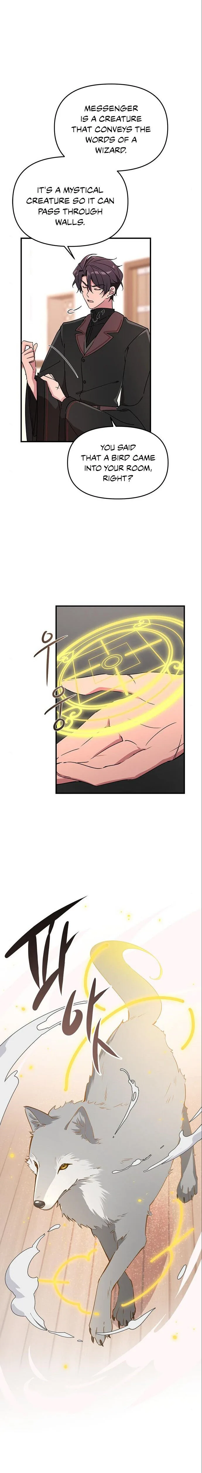 Single Wizard’s Dormitory Apartment Chapter 5 page 17