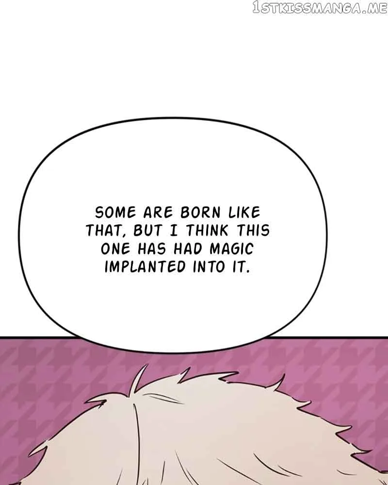 Single Wizard’s Dormitory Apartment Chapter 12 page 12
