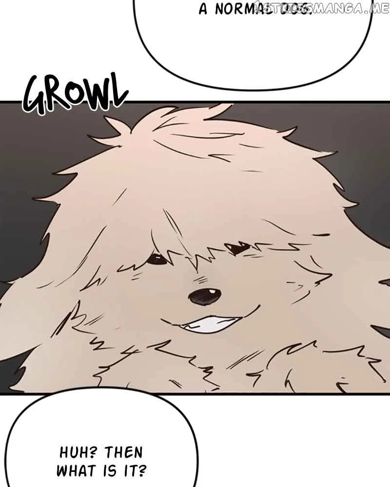Single Wizard’s Dormitory Apartment Chapter 11 page 123