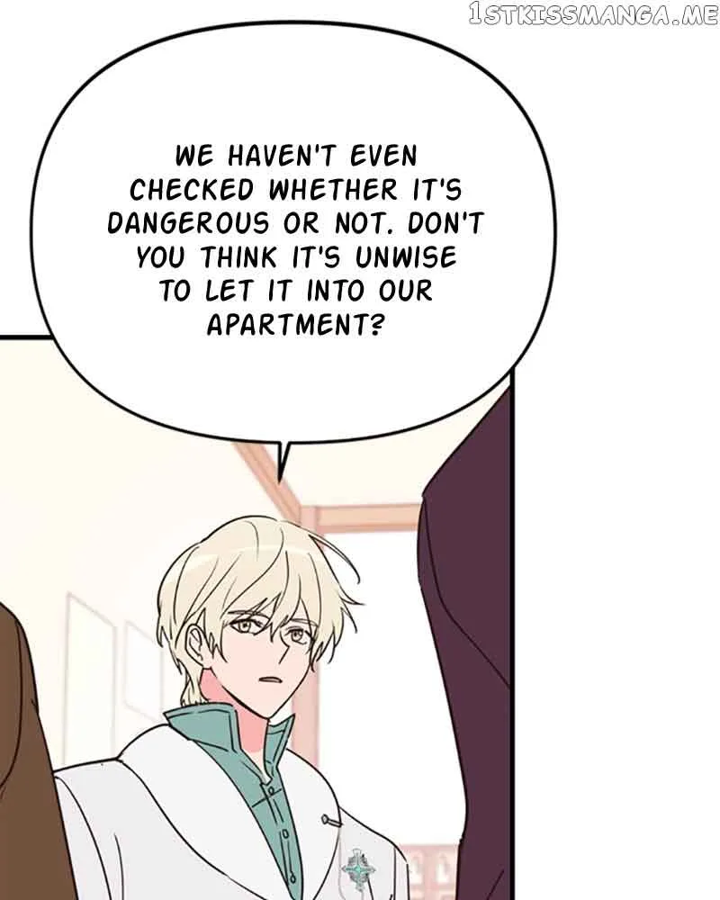 Single Wizard’s Dormitory Apartment Chapter 12 page 25
