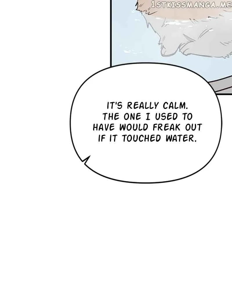 Single Wizard’s Dormitory Apartment Chapter 12 page 49