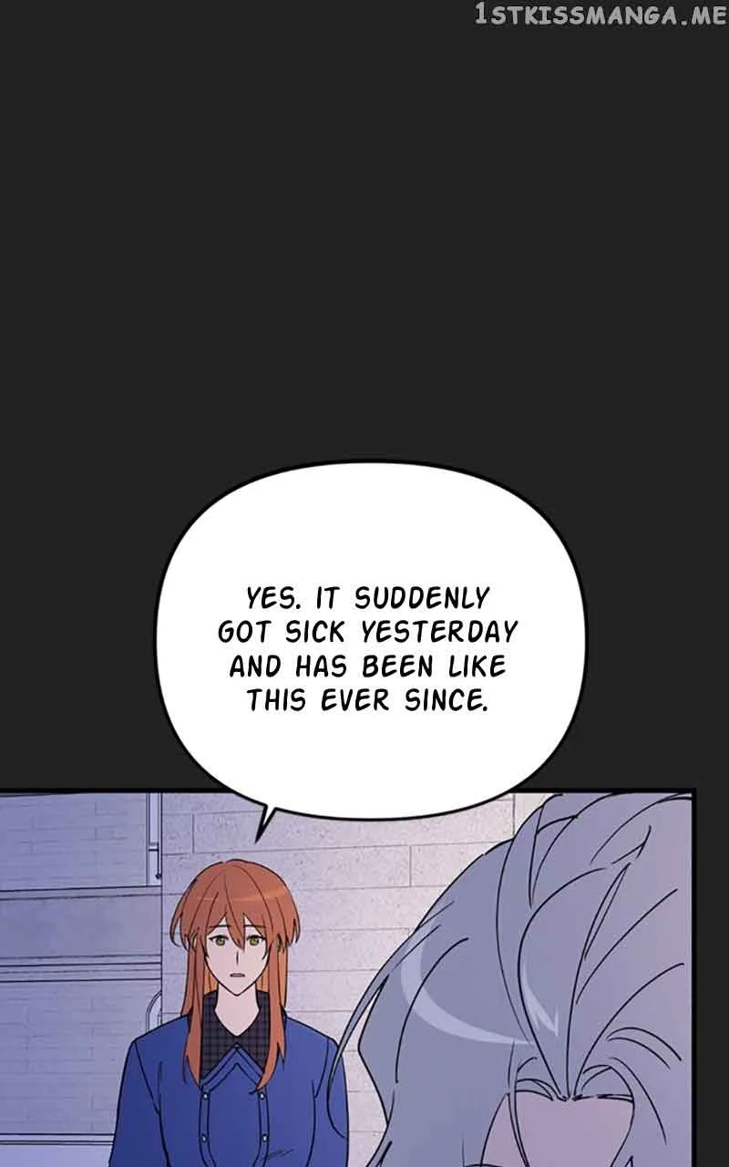 Single Wizard’s Dormitory Apartment Chapter 14 page 29
