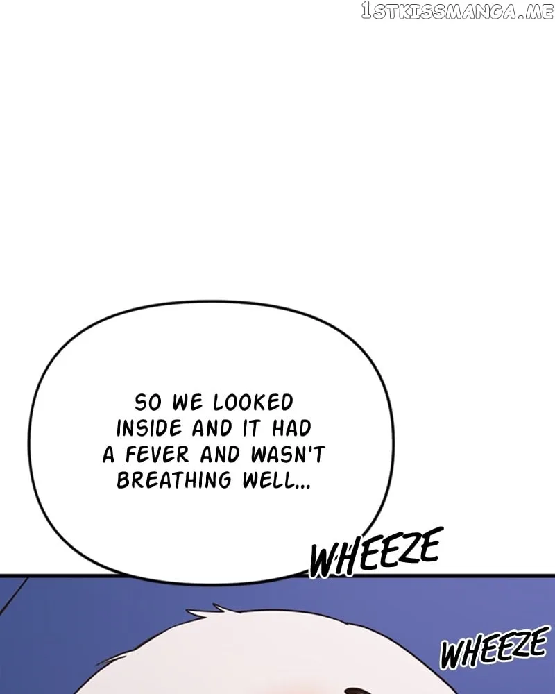 Single Wizard’s Dormitory Apartment Chapter 13 page 55