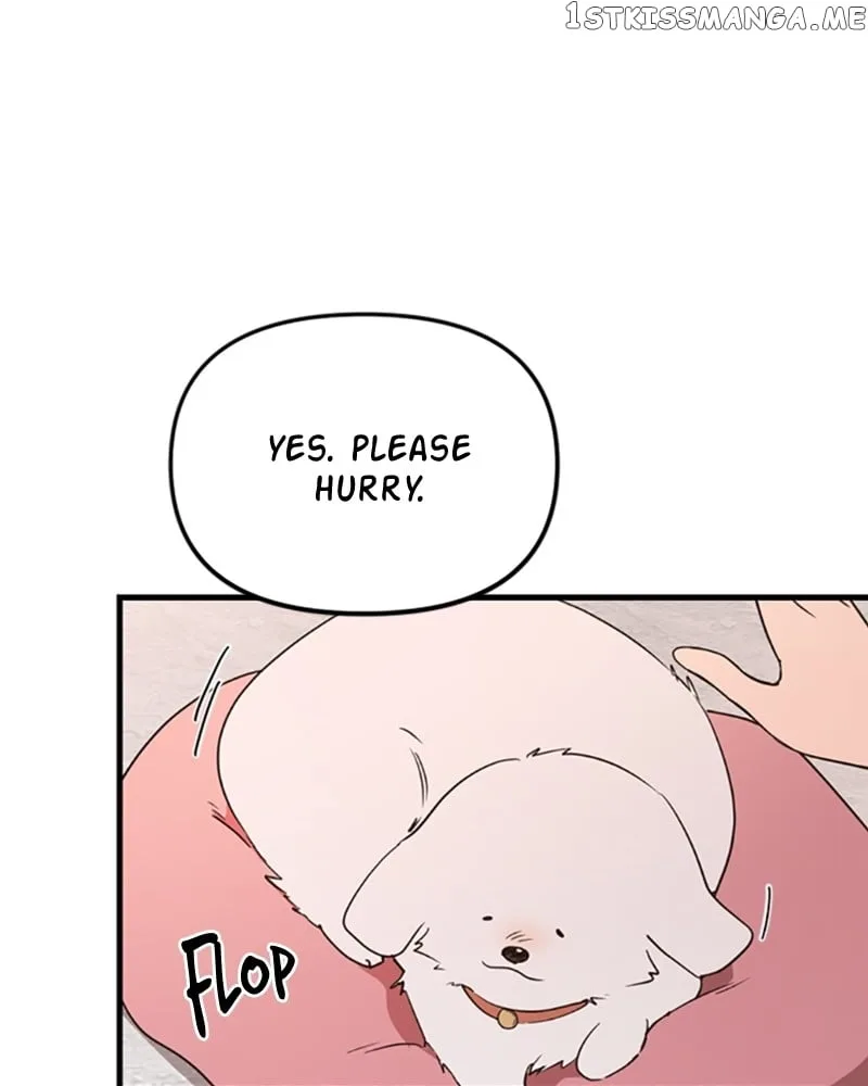 Single Wizard’s Dormitory Apartment Chapter 13 page 64