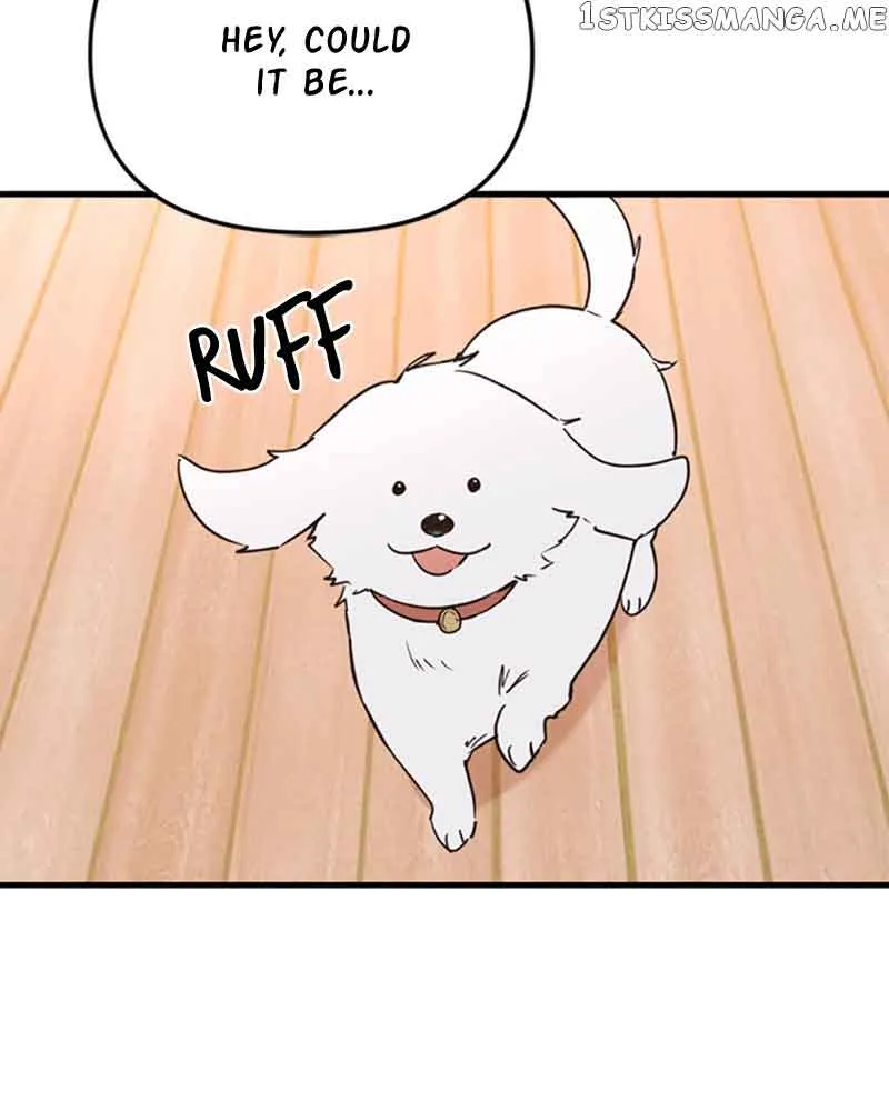 Single Wizard’s Dormitory Apartment Chapter 12 page 136