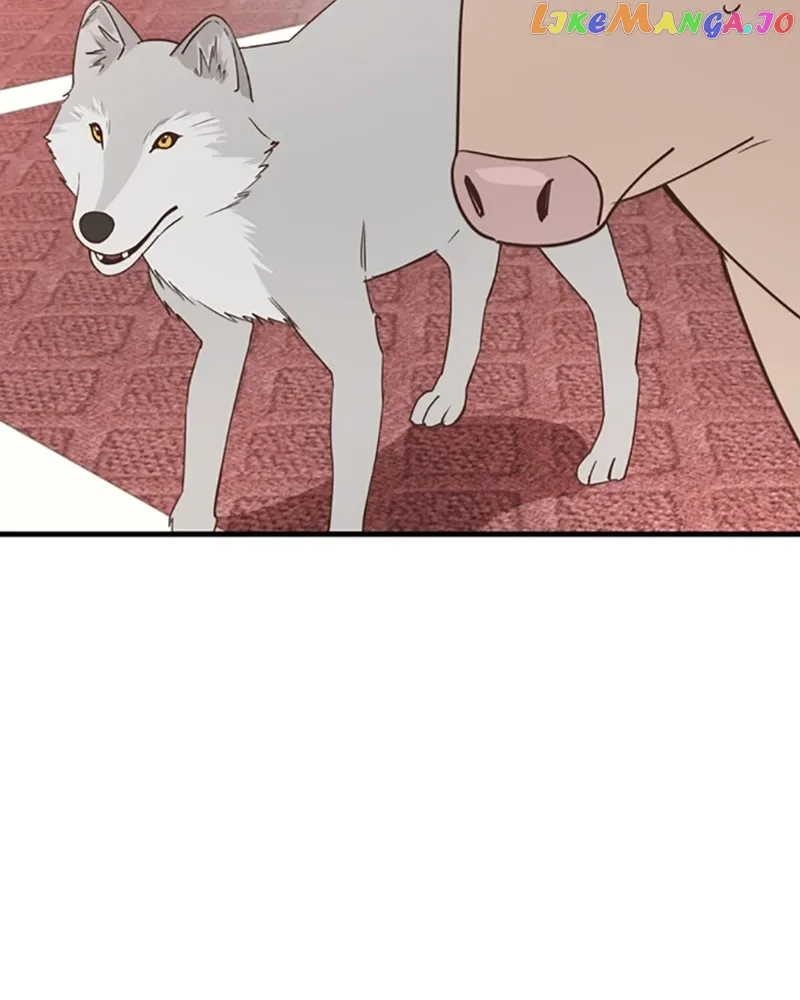Single Wizard’s Dormitory Apartment Chapter 26 page 62