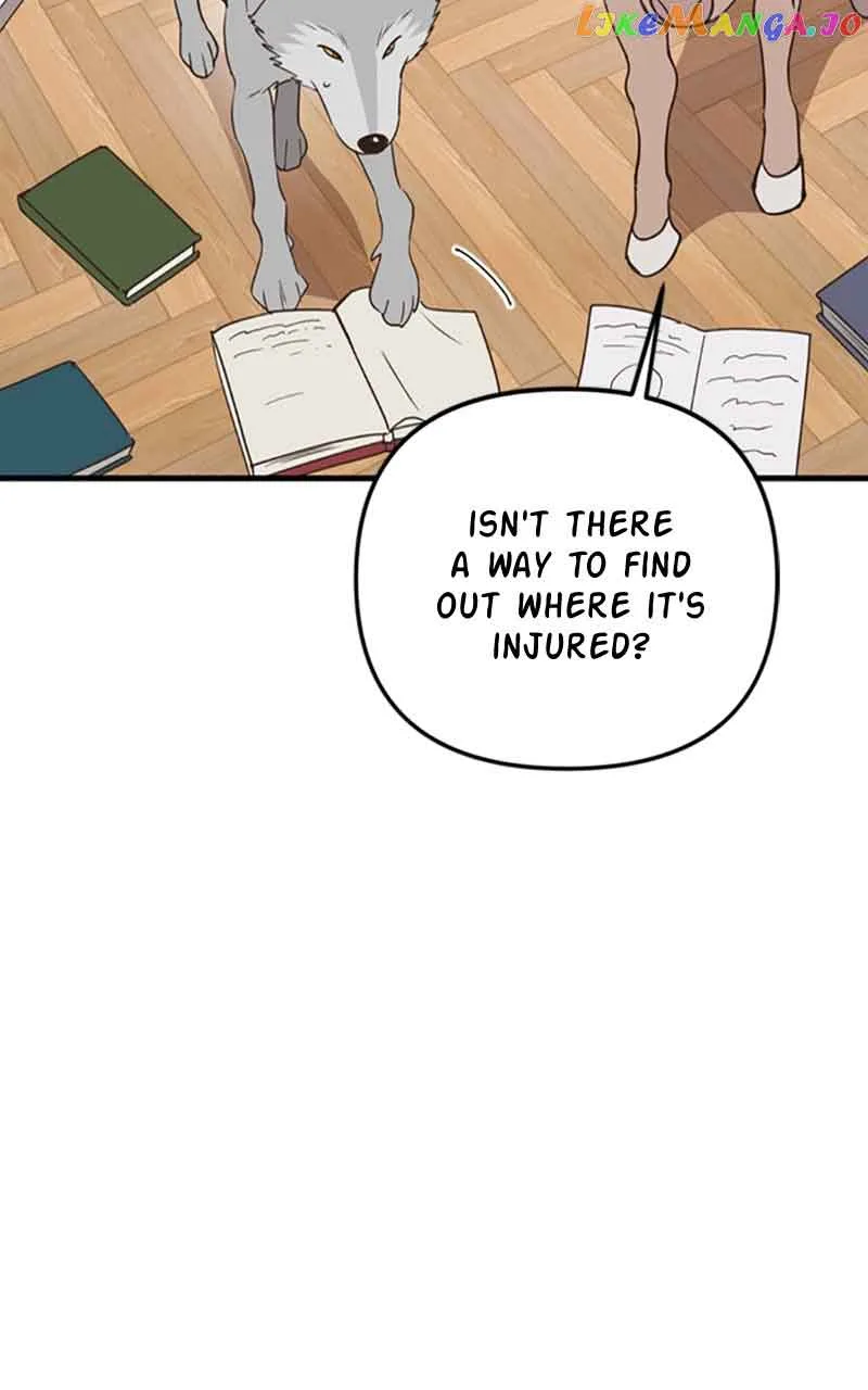 Single Wizard’s Dormitory Apartment Chapter 27 page 35