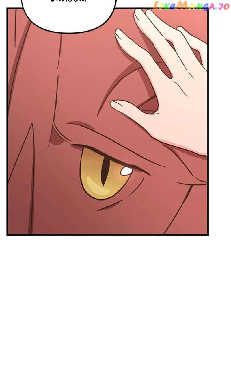 Single Wizard’s Dormitory Apartment Chapter 27 page 31