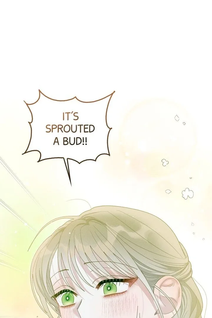 Sorang’s Flower Art Shop Chapter 15 page 8