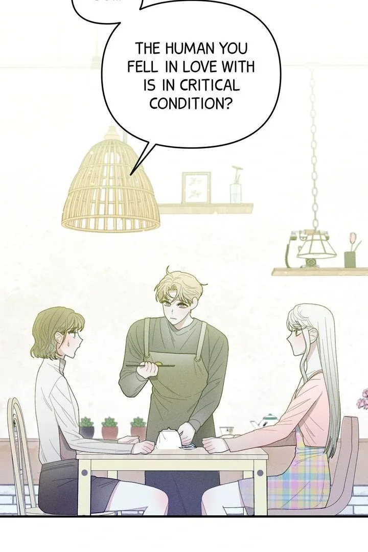 Sorang’s Flower Art Shop Chapter 24 page 14