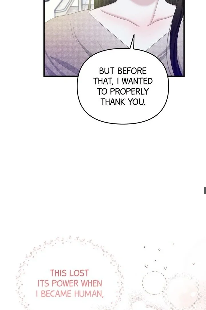 Sorang’s Flower Art Shop Chapter 26 page 35