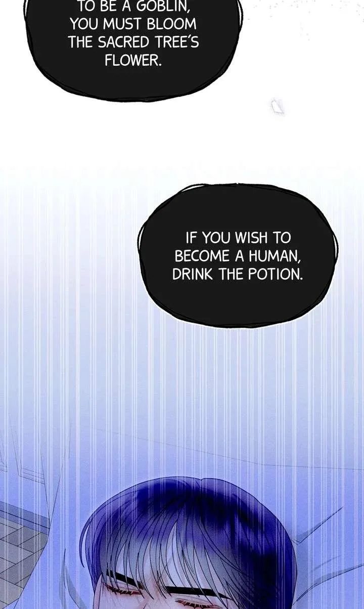 Sorang’s Flower Art Shop Chapter 38 page 80