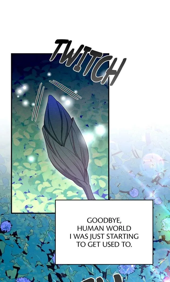 Sorang’s Flower Art Shop Chapter 40 page 72
