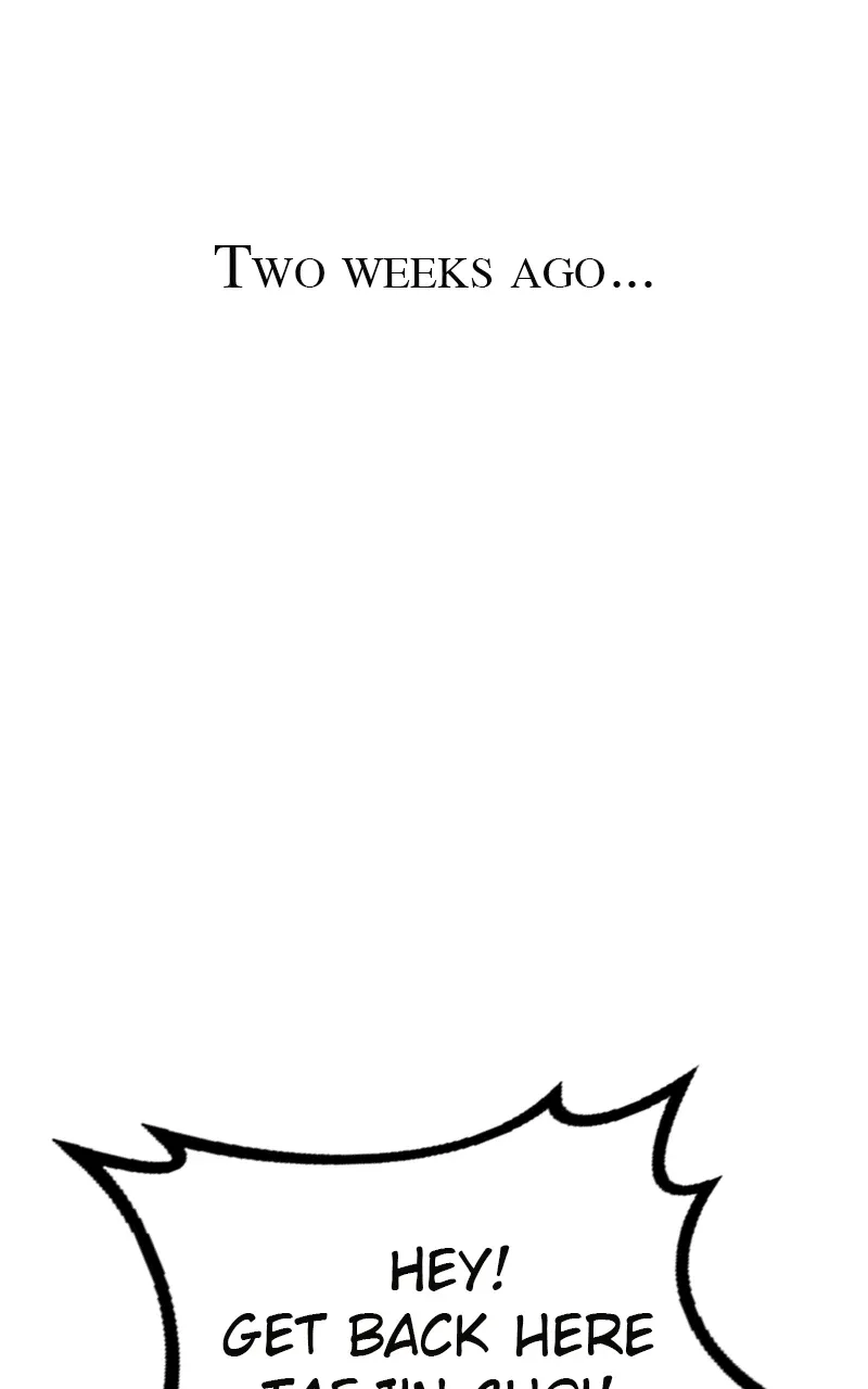 Taejin: Legend of the Yang Metal Chapter 1 page 19