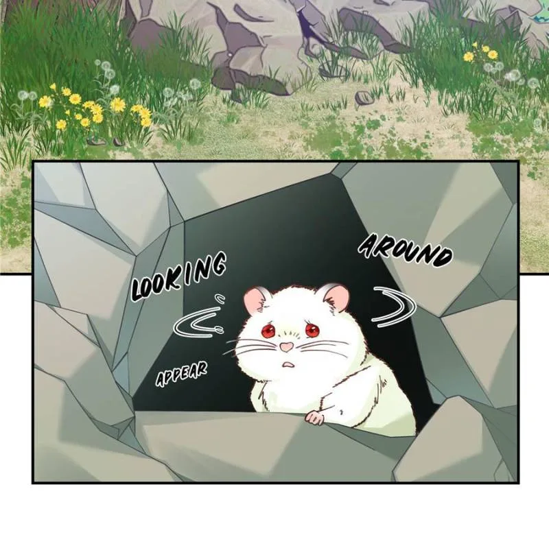 Taming the Beasts With Multi-Pregnancy System Chapter 1 page 4