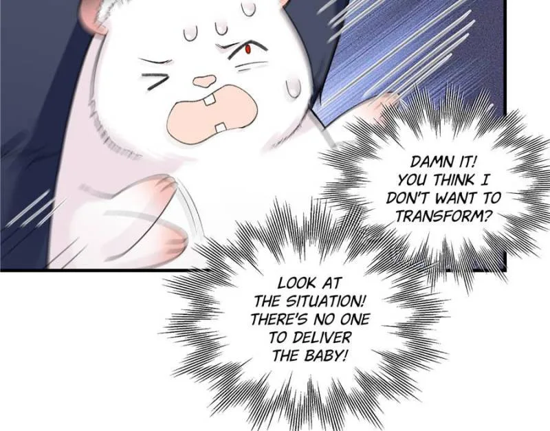 Taming the Beasts With Multi-Pregnancy System Chapter 11 page 4