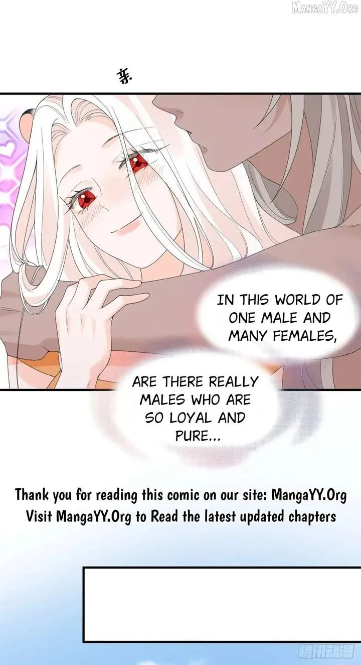 Taming the Beasts With Multi-Pregnancy System Chapter 25 page 16