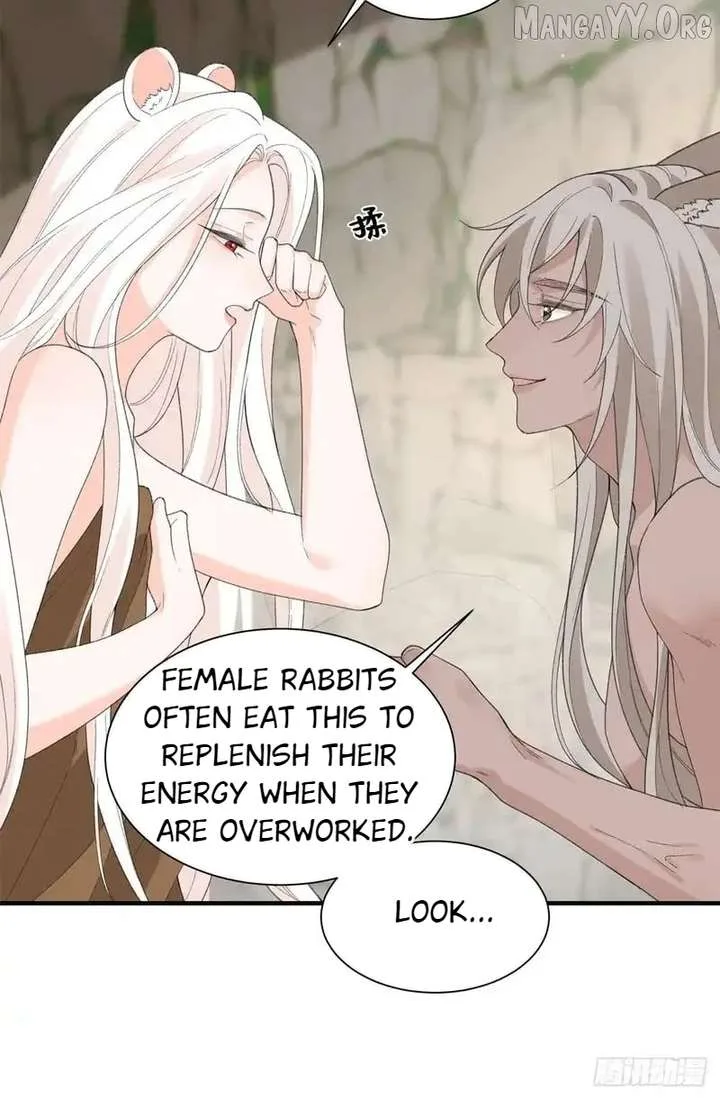 Taming the Beasts With Multi-Pregnancy System Chapter 27 page 23