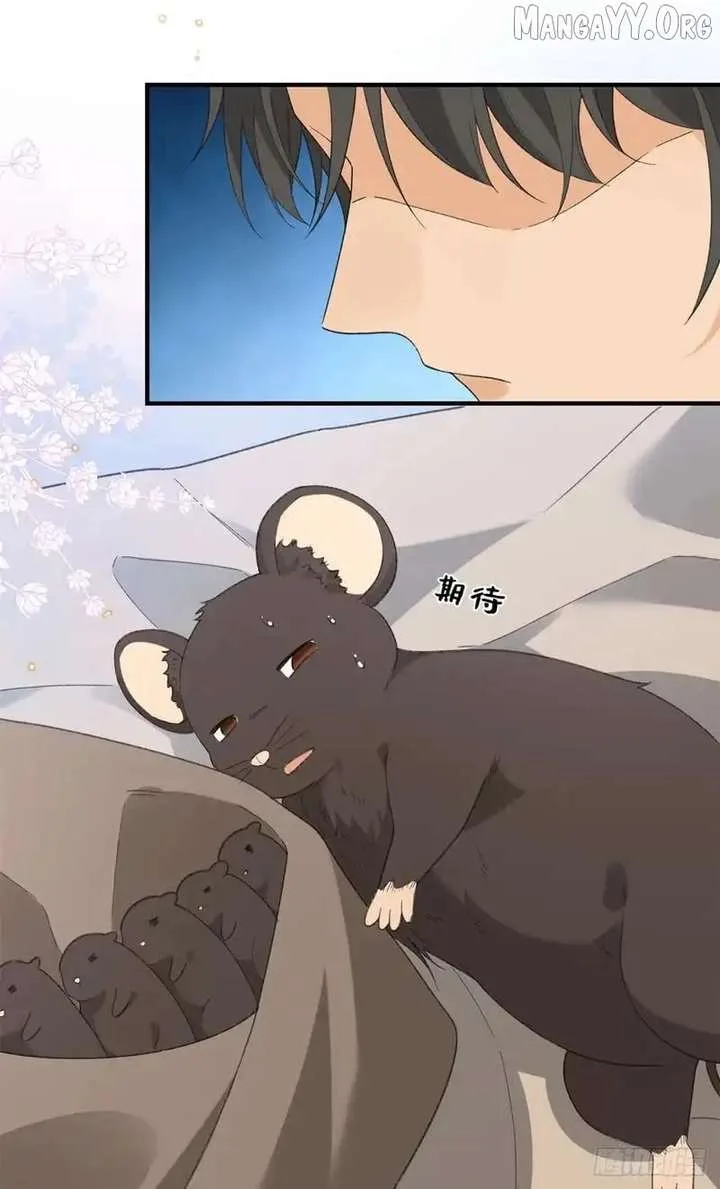 Taming the Beasts With Multi-Pregnancy System Chapter 27 page 5