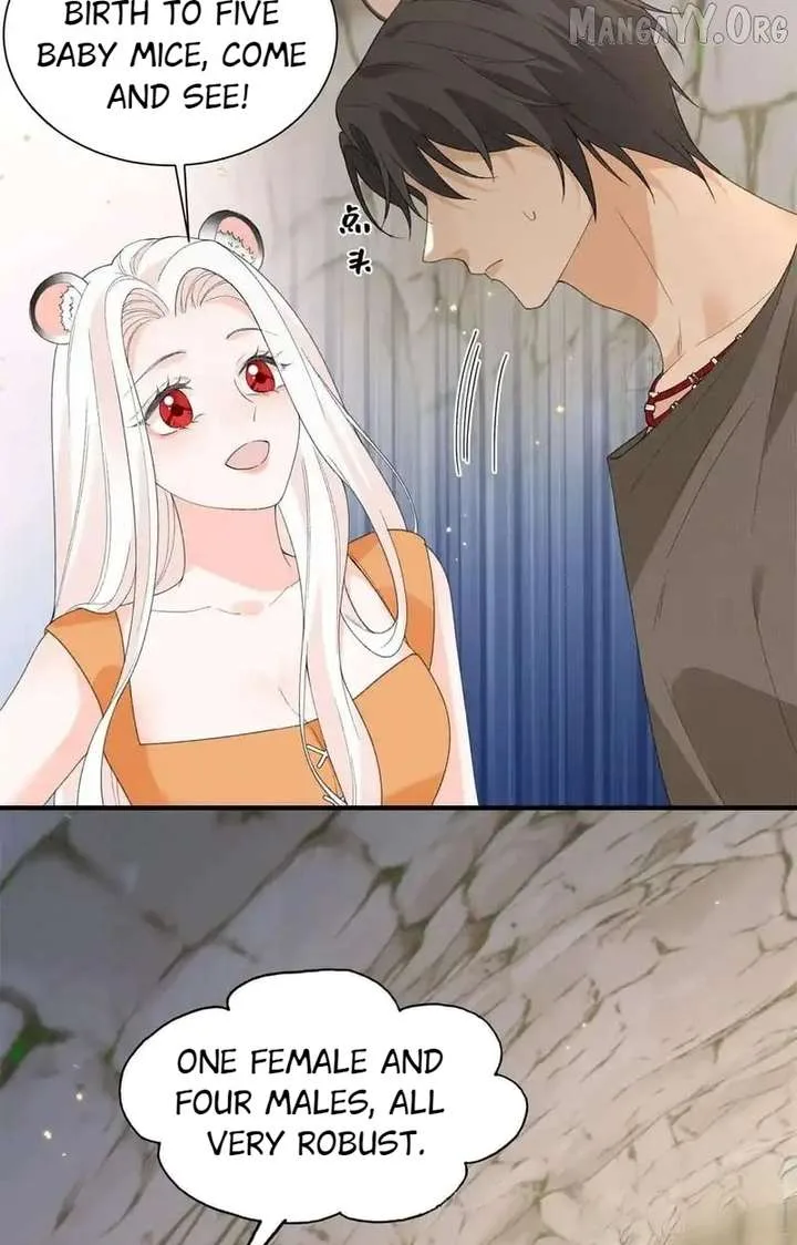 Taming the Beasts With Multi-Pregnancy System Chapter 27 page 3