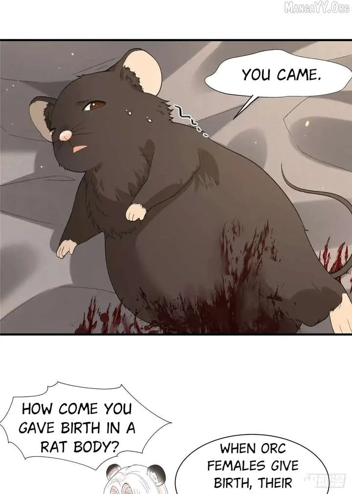 Taming the Beasts With Multi-Pregnancy System Chapter 26 page 12