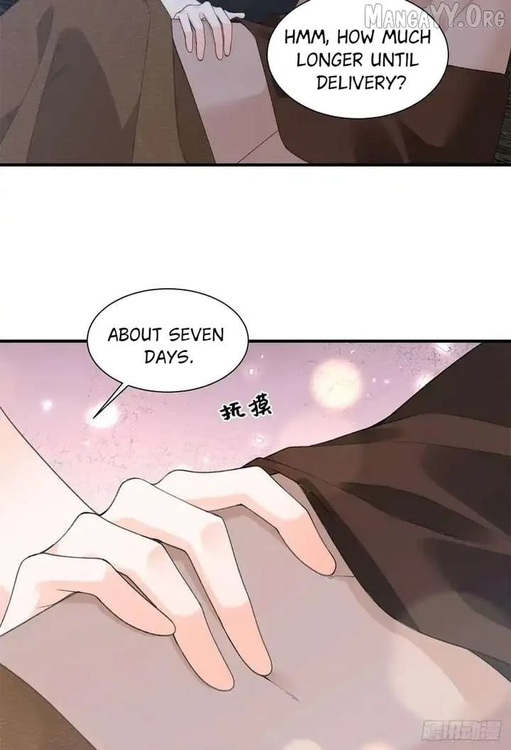 Taming the Beasts With Multi-Pregnancy System Chapter 29 page 16