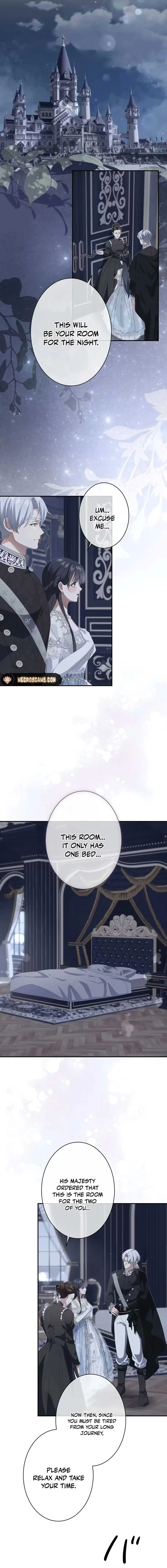 Tenth Year of Devotion: The Count’s Daughter and the Empire’s God of War Chapter 5 page 8