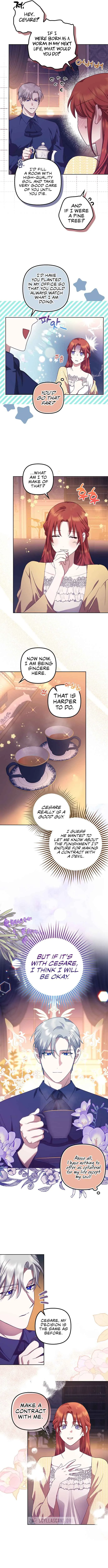 The Abandoned Bachelorette Enjoys Her Simple Life Chapter 14 page 12