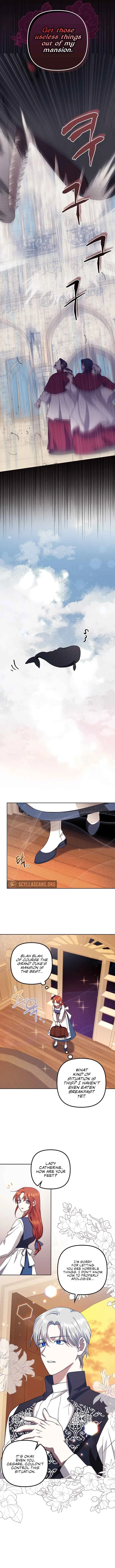 The Abandoned Bachelorette Enjoys Her Simple Life Chapter 16 page 6