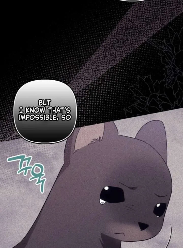 The Abandoned Bachelorette Enjoys Her Simple Life Chapter 104 page 62
