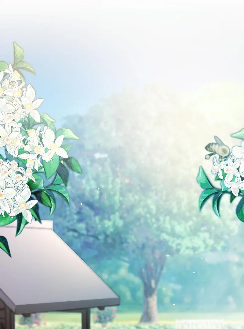 The Abandoned Saintess’s Vow: To Deny the Prince’s Love in Her Next Life Chapter 4 page 14