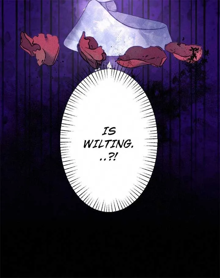 The Abandoned Saintess’s Vow: To Deny the Prince’s Love in Her Next Life Chapter 29 page 85