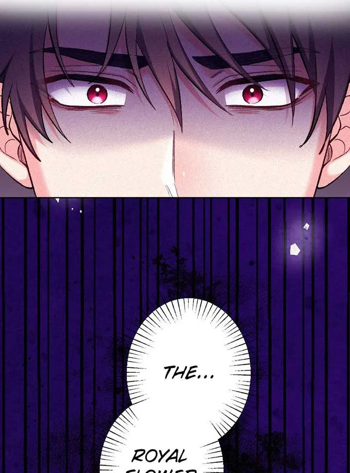 The Abandoned Saintess’s Vow: To Deny the Prince’s Love in Her Next Life Chapter 29 page 83