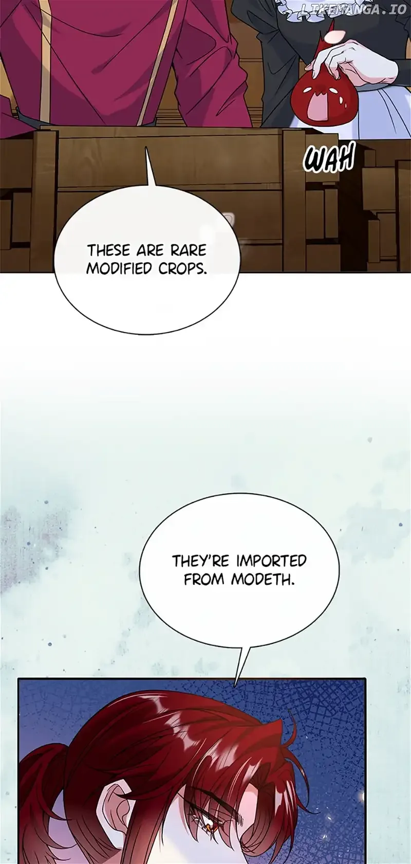 The Adopted Daughter Saves the World Chapter 43 page 28