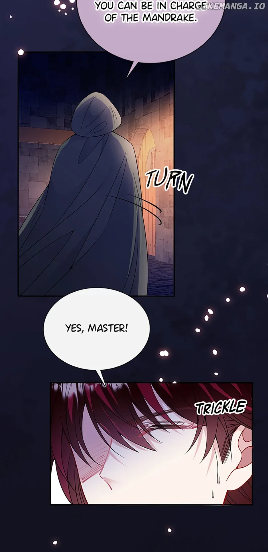 The Adopted Daughter Saves the World Chapter 53 page 15