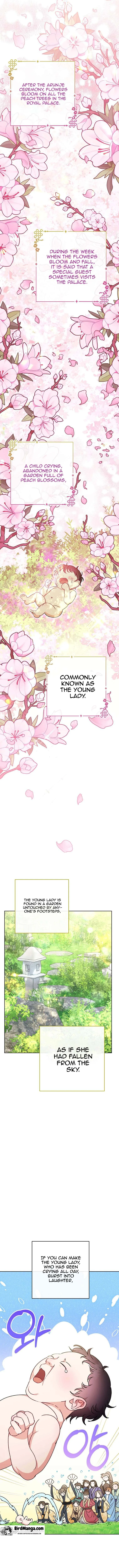 The Baby Concubine Wants to Live Quietly Chapter 24 page 13