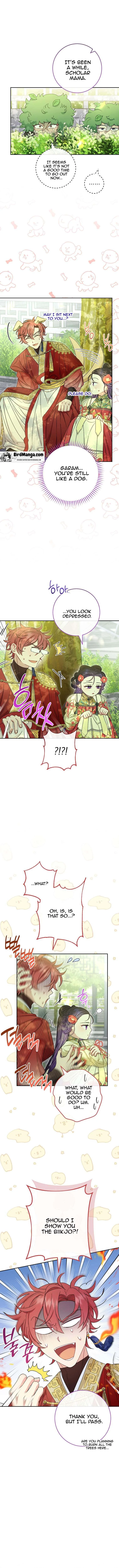 The Baby Concubine Wants to Live Quietly Chapter 26 page 13
