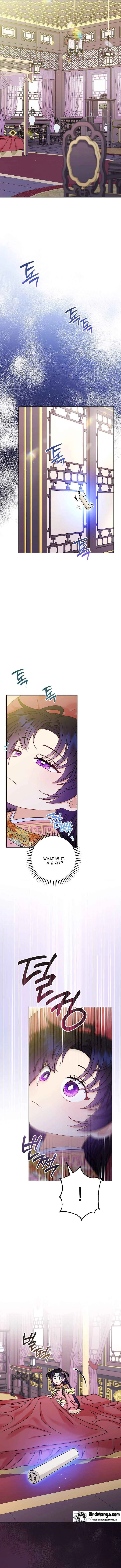 The Baby Concubine Wants to Live Quietly Chapter 36 page 7