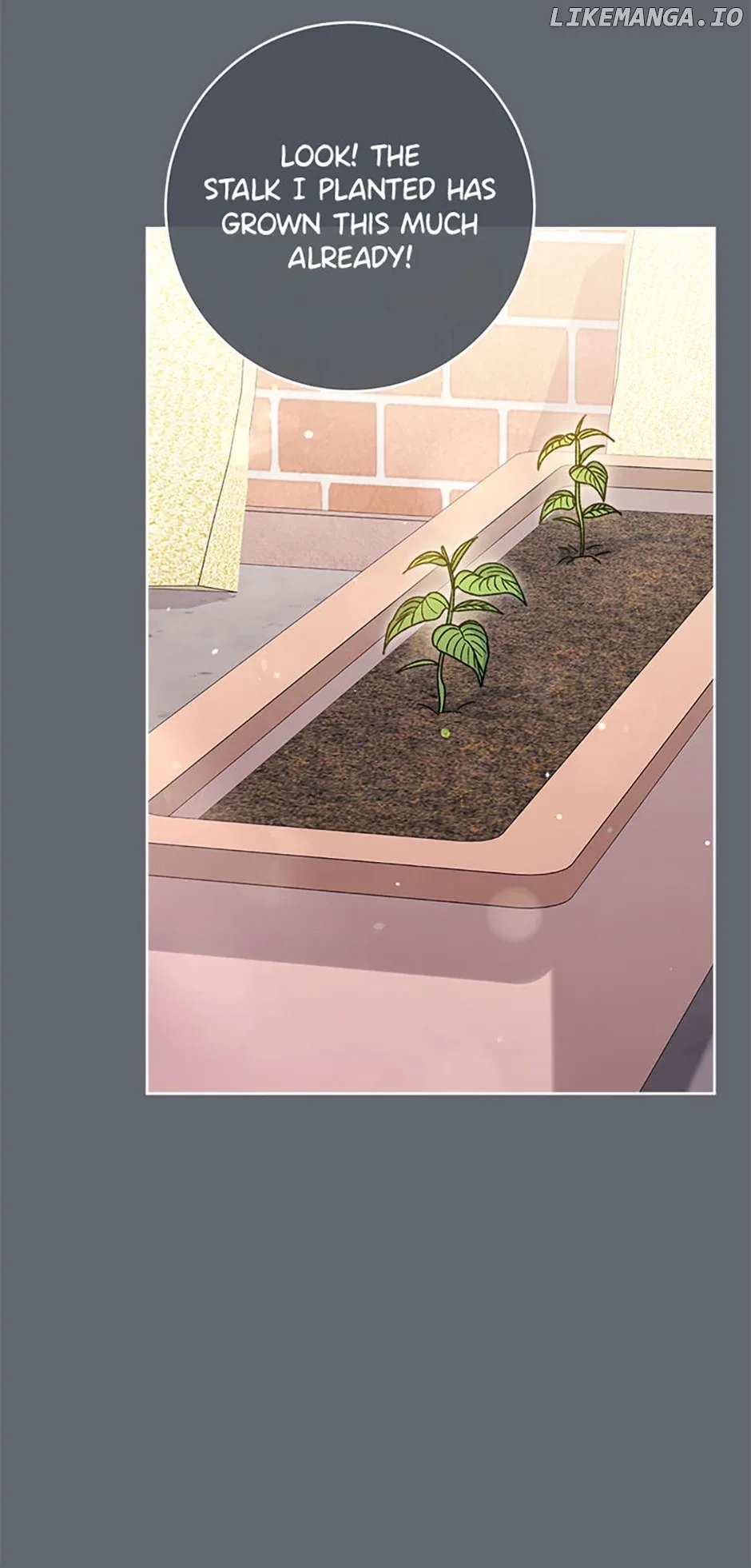 The Baby Concubine Wants to Live Quietly Chapter 44 page 55