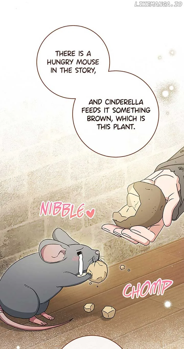 The Baby Concubine Wants to Live Quietly Chapter 45 page 6