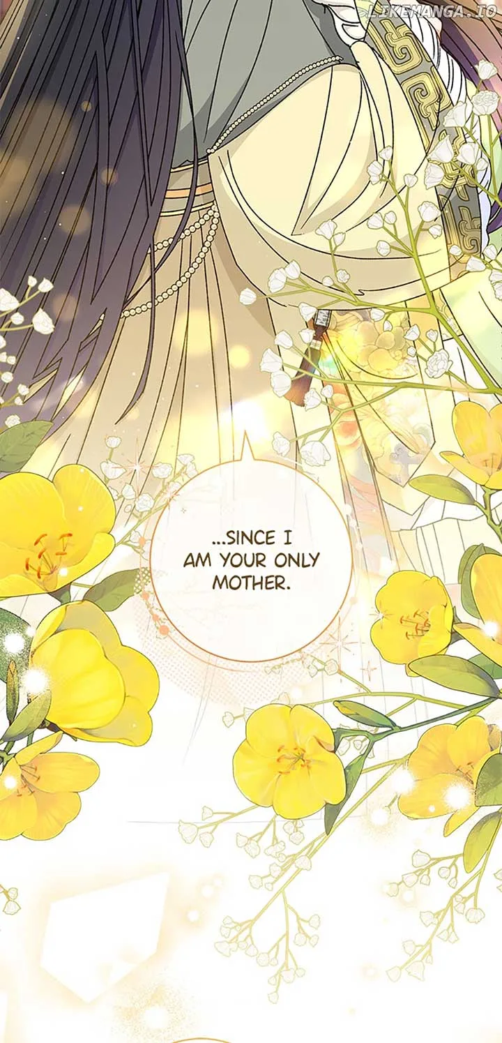 The Baby Concubine Wants to Live Quietly Chapter 39 page 70