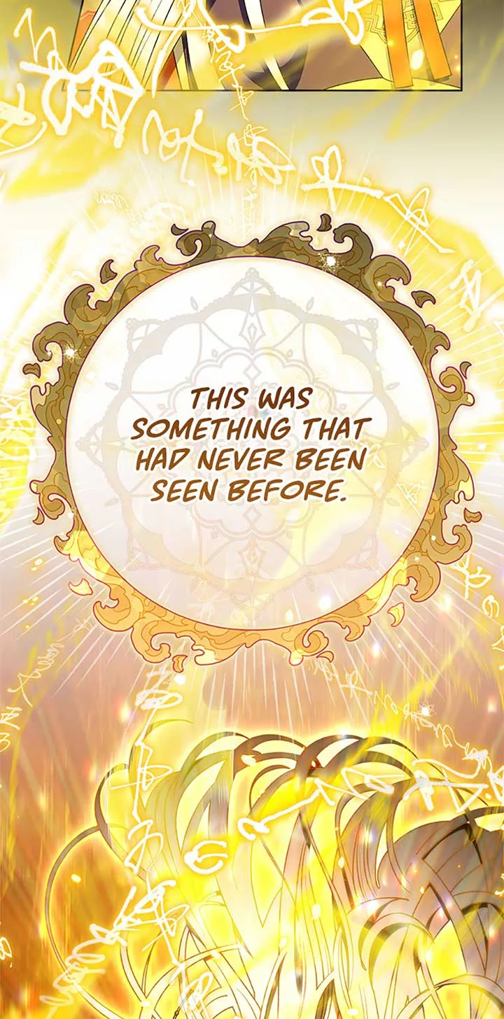 The Baby Concubine Wants to Live Quietly Chapter 72 page 28