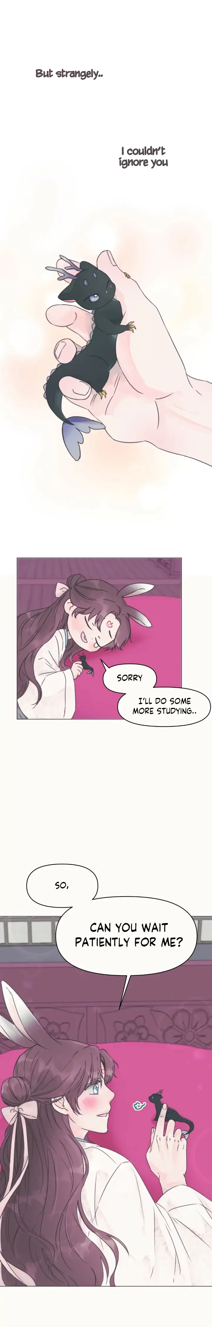 The Baby Dragon and the Rabbit Spirit Chapter 1 page 19