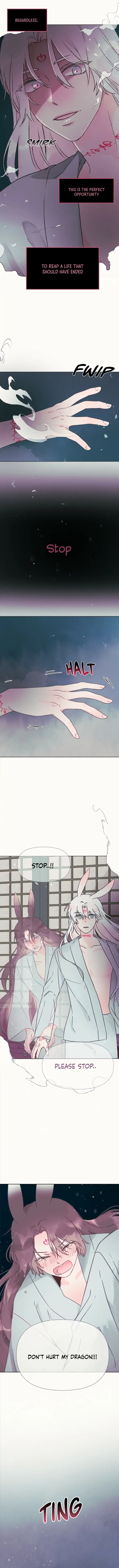 The Baby Dragon and the Rabbit Spirit Chapter 7 page 4
