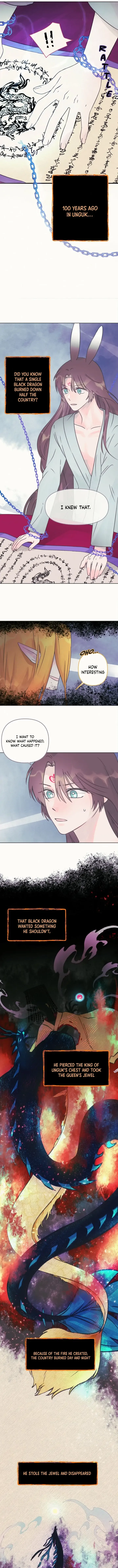 The Baby Dragon and the Rabbit Spirit Chapter 7 page 8