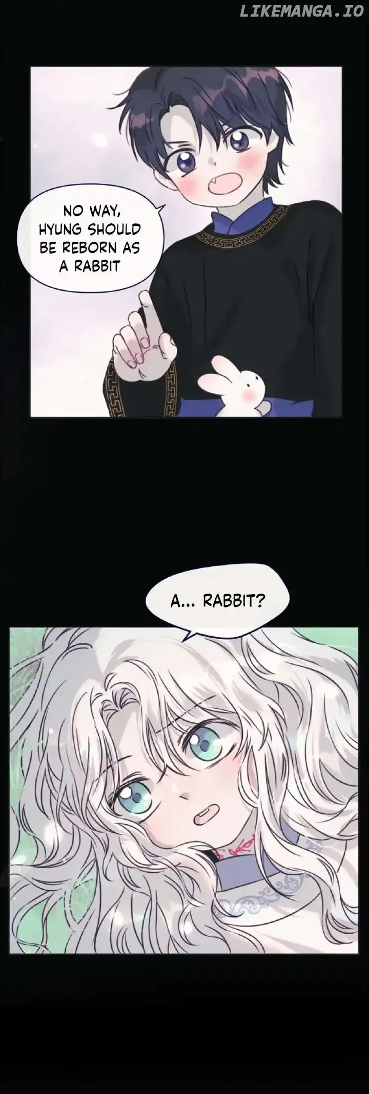 The Baby Dragon and the Rabbit Spirit Chapter 29 page 3