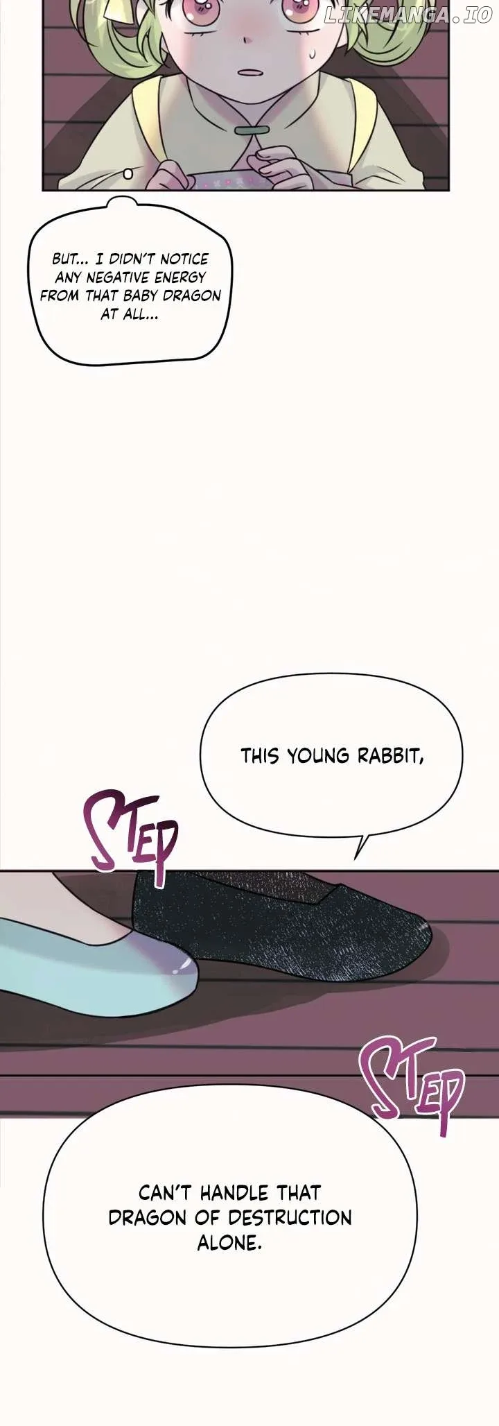 The Baby Dragon and the Rabbit Spirit Chapter 33 page 28