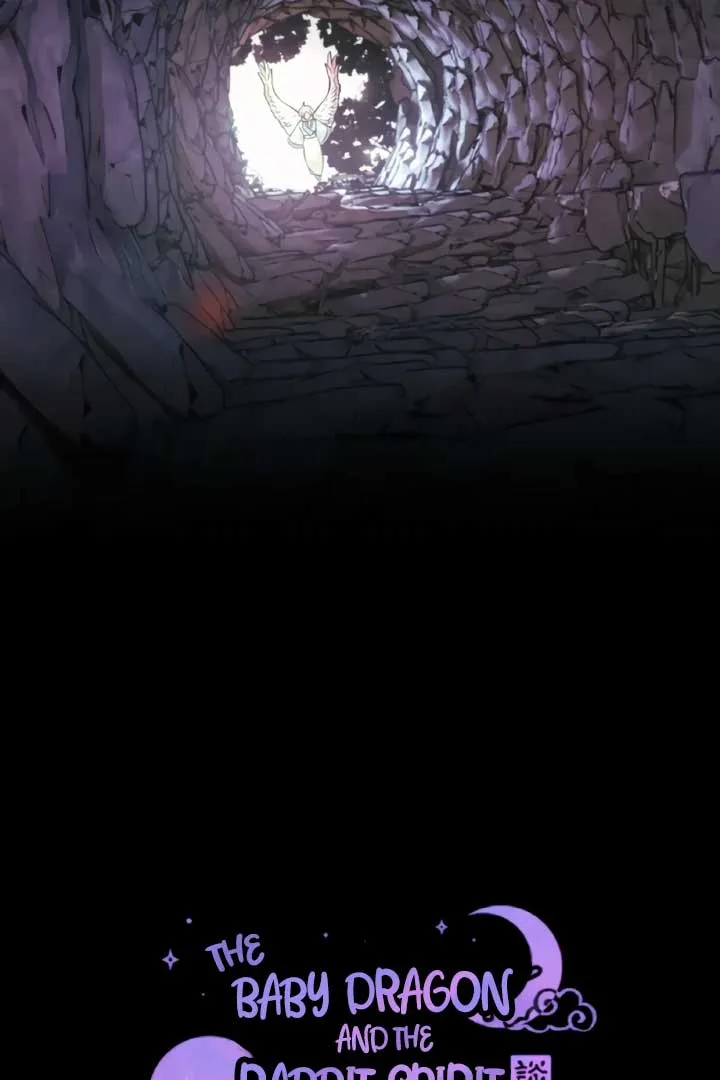 The Baby Dragon and the Rabbit Spirit Chapter 41 page 63