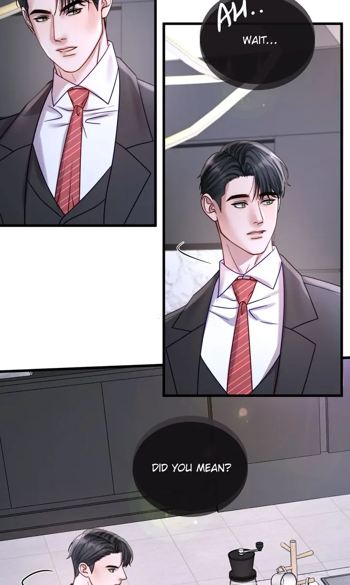 The Billionaire’s Replacement Wife Chapter 26 page 14