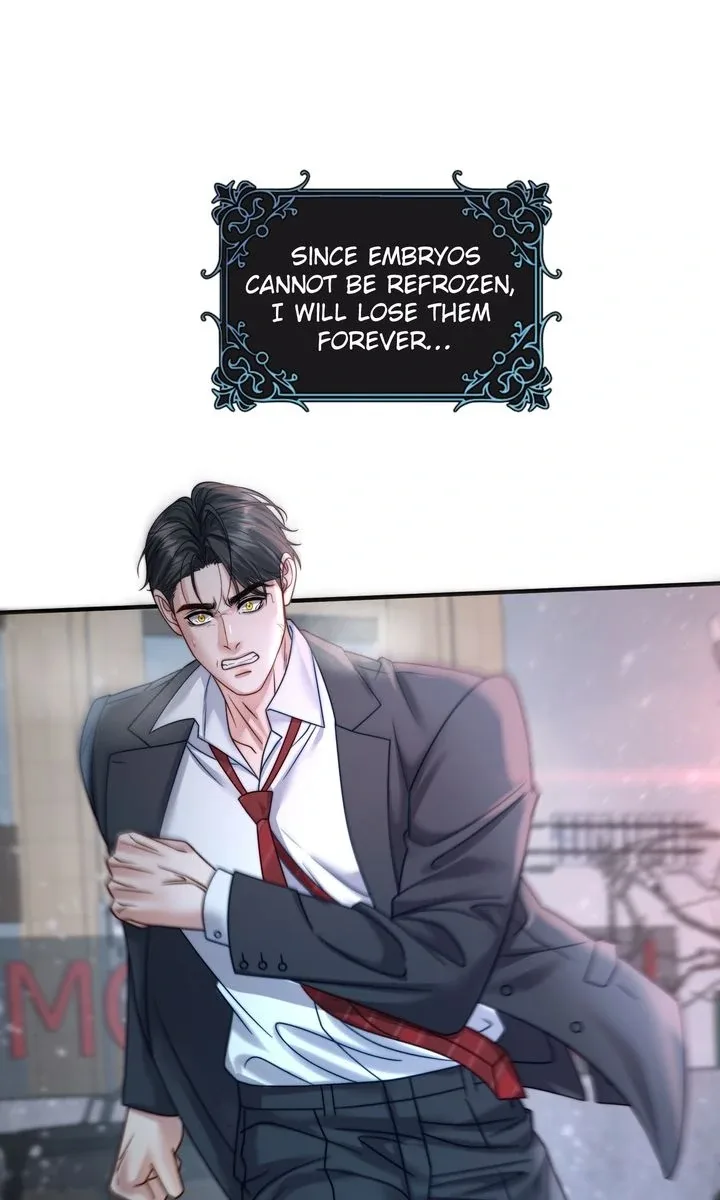 The Billionaire’s Replacement Wife Chapter 25 page 2